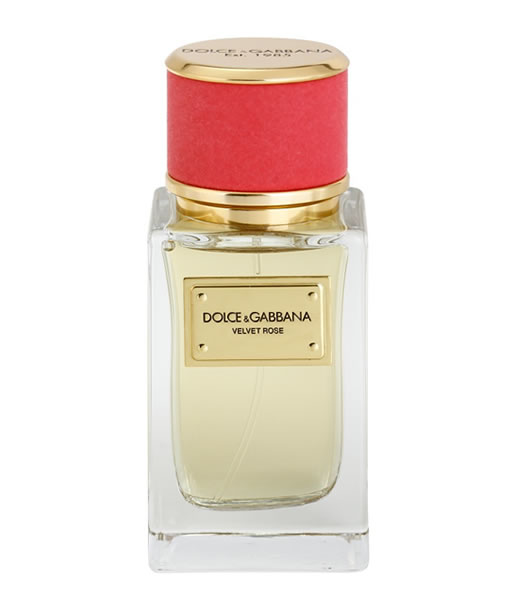 dolce and gabbana velvet rose