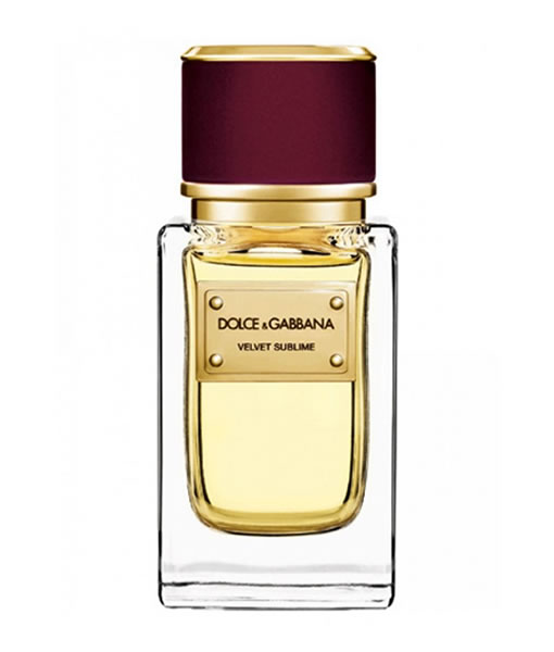 dolce & gabbana velvet