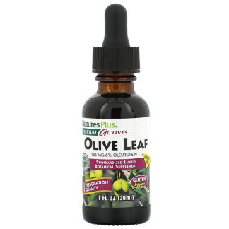 NaturesPlus, Herbal Actives, Olive Leaf, Alcohol Free, 1 fl oz (30 ml)