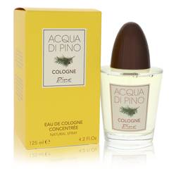 Pino Silvestre Acqua Di Pino Concentree Edc For Men